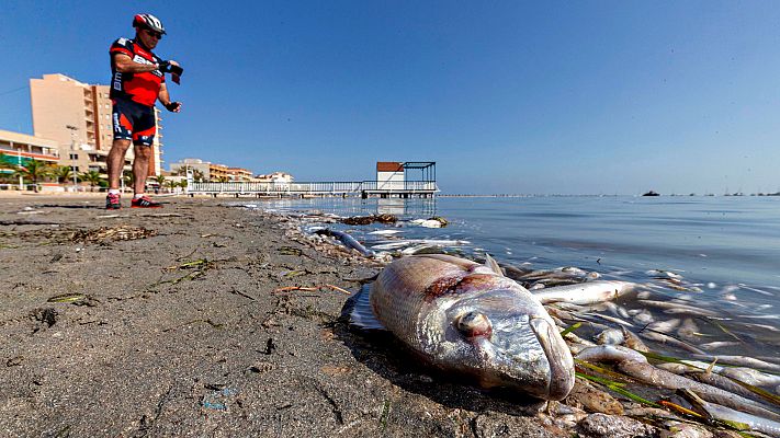 Murcia aprueba un decreto para intentar proteger el Mar Menor