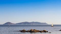 80 cm - Isla de Ons