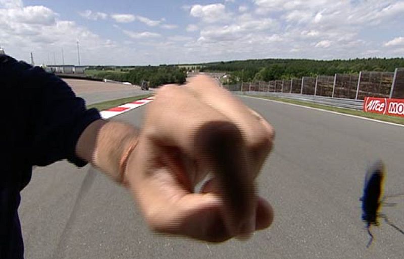 La cara más simpática del Gran Premio de Alemania.