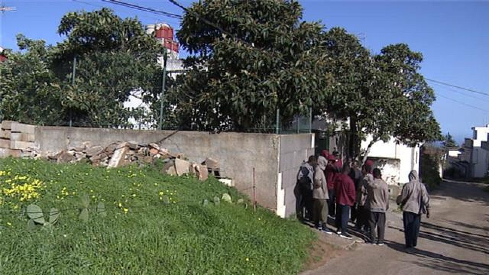 Telecanarias: Canarias en 2' - 27/12/2019 | RTVE Play