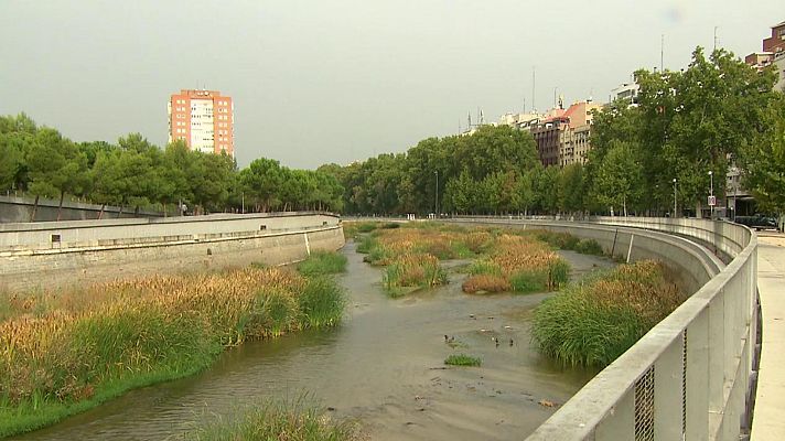 Ciudadano Río