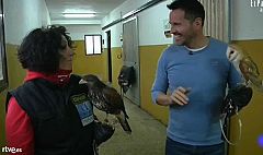 Aquí la tierra - Animales que ayudan a la vida
