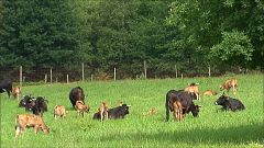 Agrosfera - 28/12/19                 