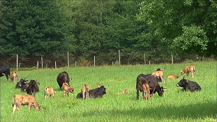 Agrosfera - Agrosfera - 28/12/19