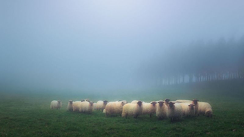 Nieblas matinales persistentes en el valle del Duero y Ebro - Ver ahora