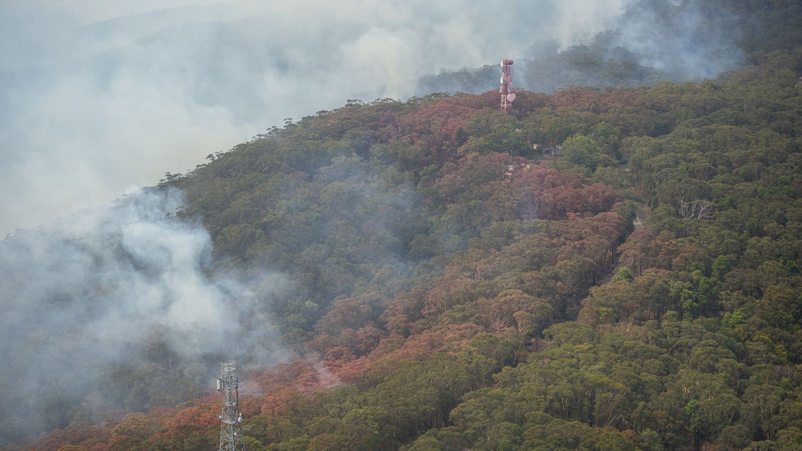 Los incendios forestales siguen castigando a Australia