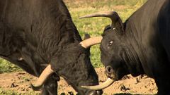 Tendido cero - 28/12/19