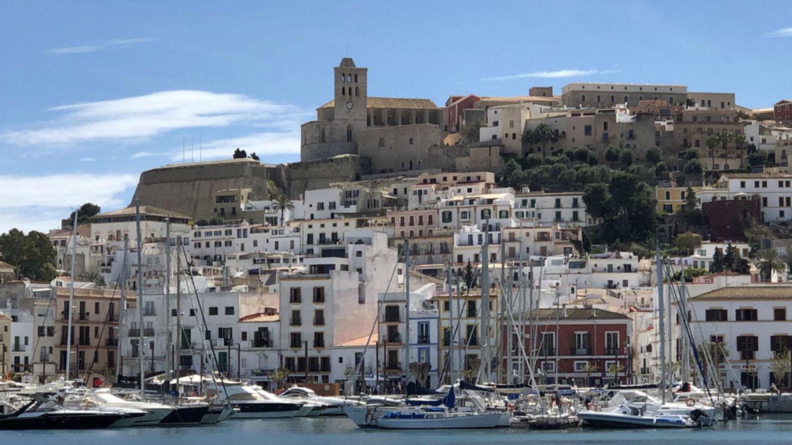 ¡Qué animal! - Acorazados - ver ahora