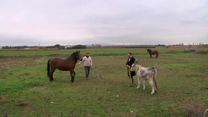 Aquí la Tierra - Aquí la Tierra - 29/12/19