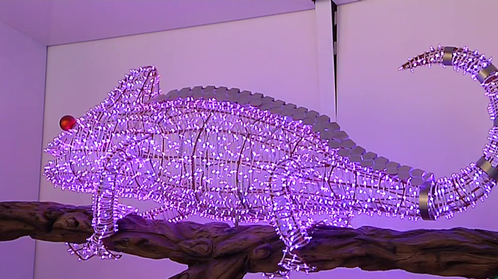 Fábrica de ideas: Imita: Grupo Ximénez | RTVE Play