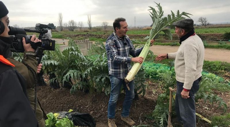 Ensalada de la huerta para Navidad