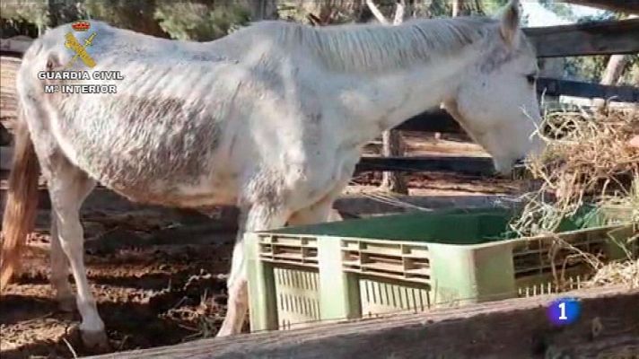 L'informatiu - Comunitat Valenciana - La Comunidad Valenciana en 2' - 02/01/20