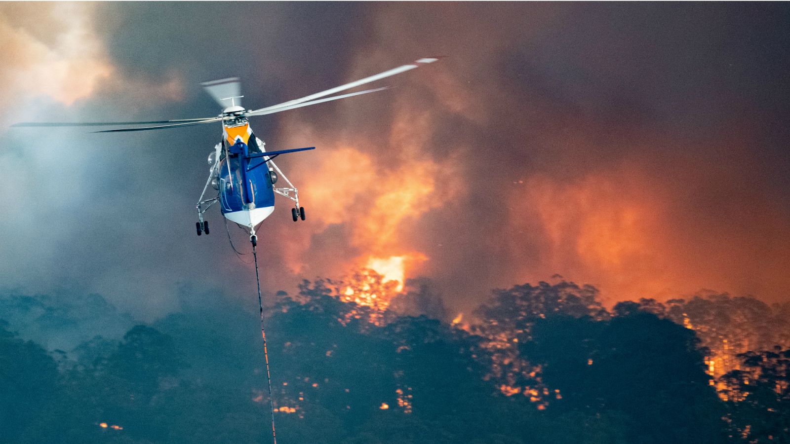 Declaran el estado de emergencia en el sudeste de Australia por los incendios que azotan al país - RTVE.es