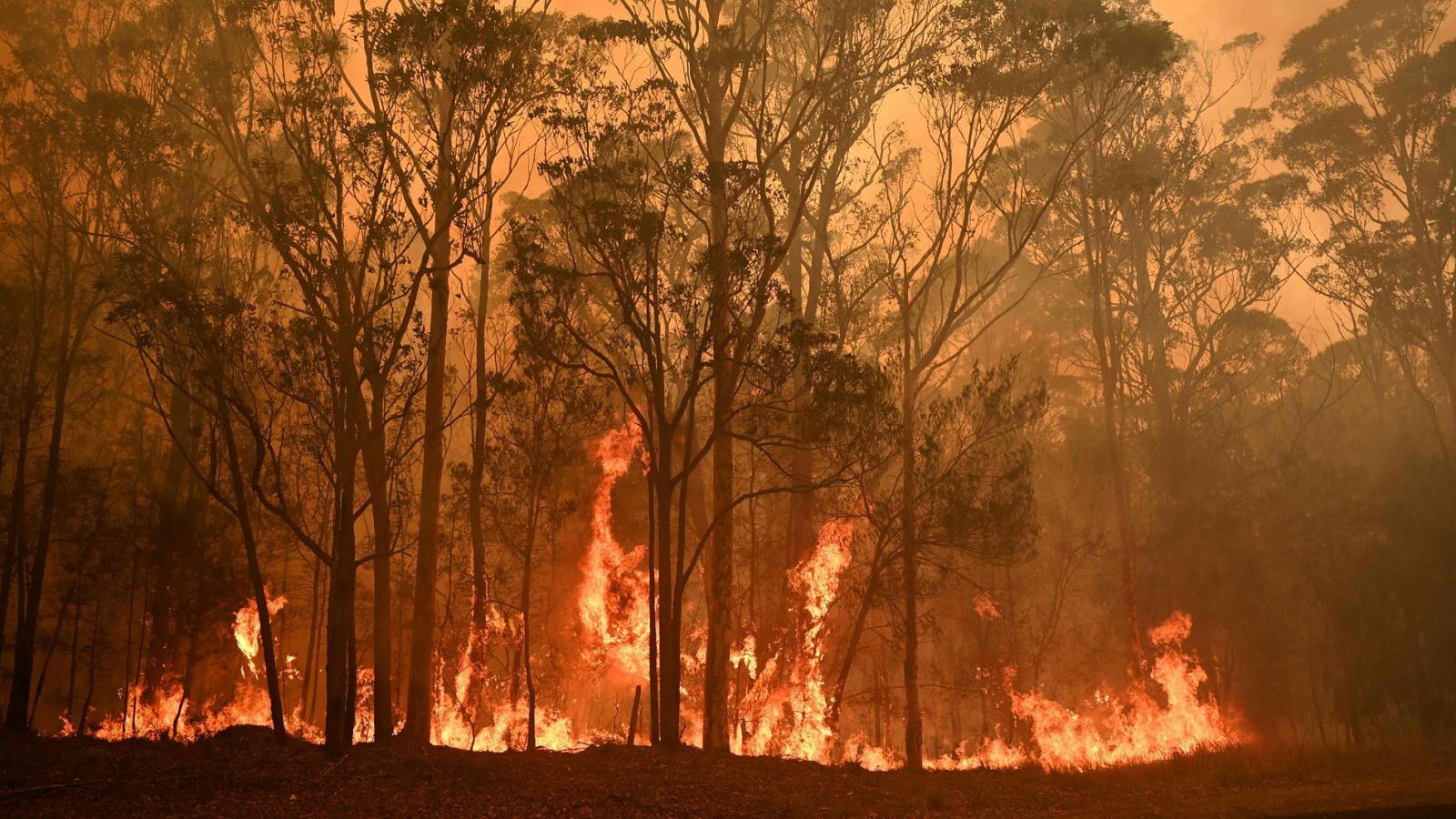 Los incendios en Australia ya se han cobrado la vida de 23 personas
