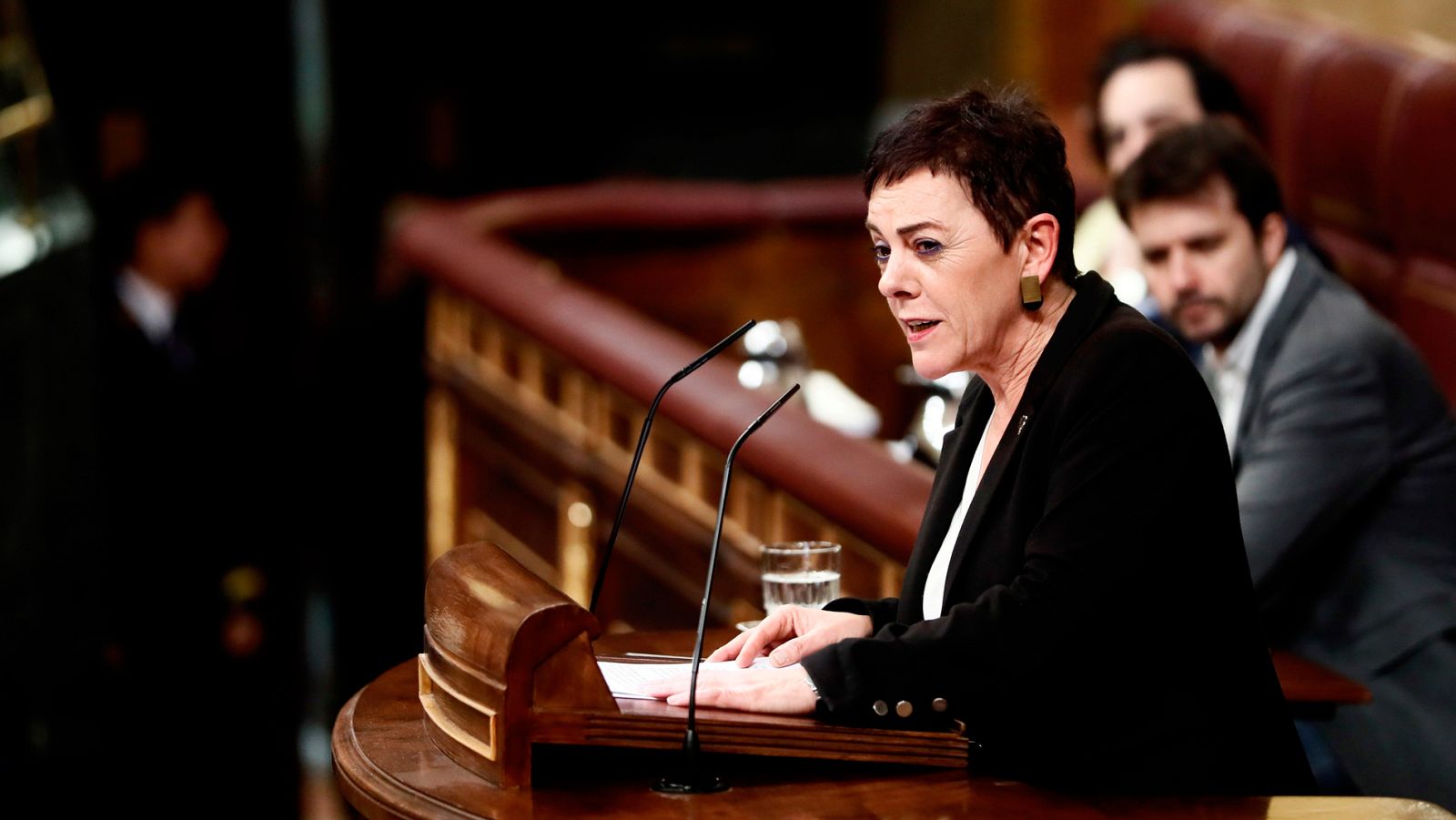 Interrumpen a la portavoz de Bildu al grito de "asesinos" tras una mención al rey en el debate de investidura