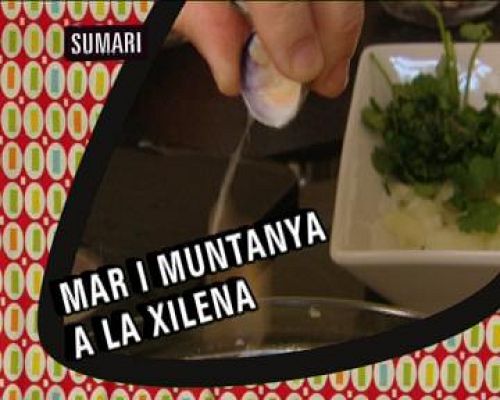 Els nous catalans - La cuina: Xile