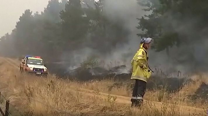 Telediario 1 - Las estrellas australianas del cine se movilizan y piden ayuda para Australia