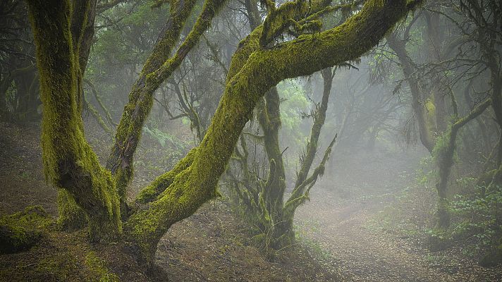 La niebla persiste en zonas del interior, con pocas nubes en general