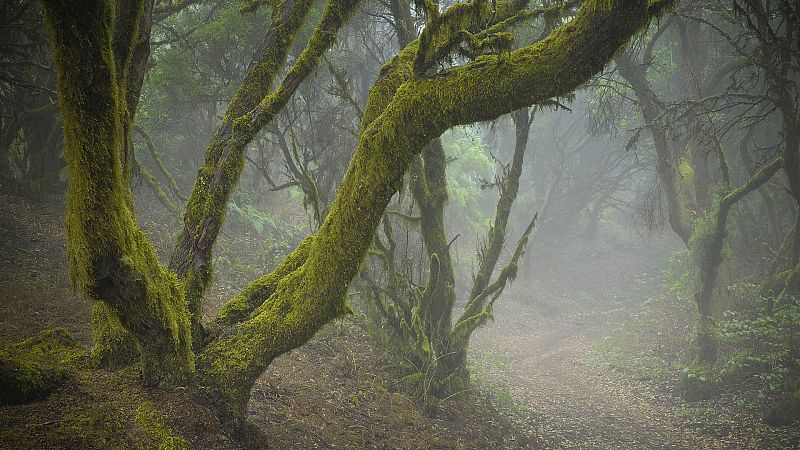 La niebla persiste en zonas del interior, con pocas nubes en general - ver ahora 