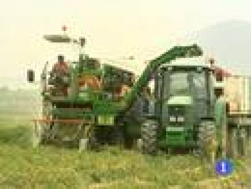 Noticias de Extremadura. Informativo Territorial de Extremadura. (20/07/09)