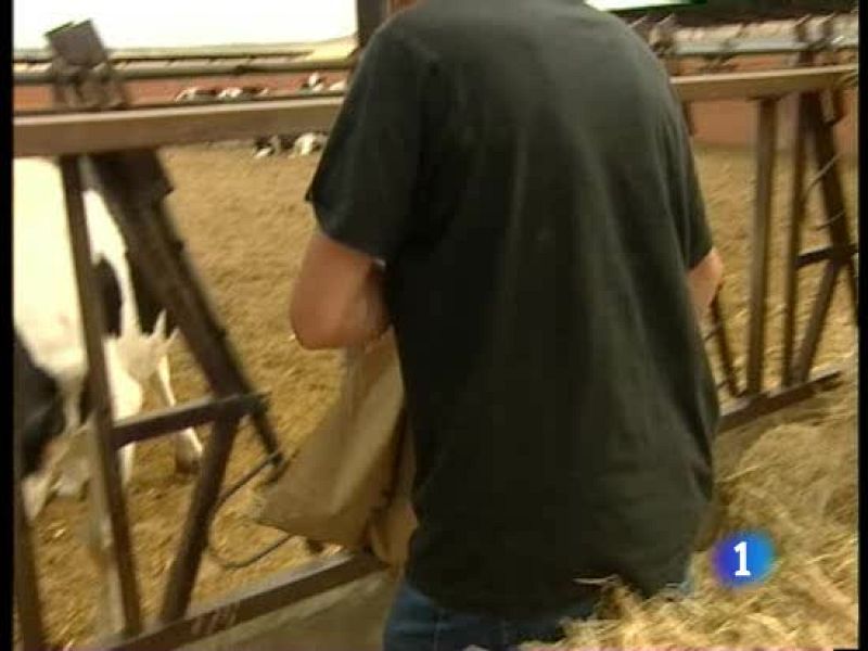 El sector lácteo cerca del acuerdo 