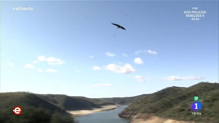España Directo - El Parque Nacional de Monfragüe, un paraíso para los buitres