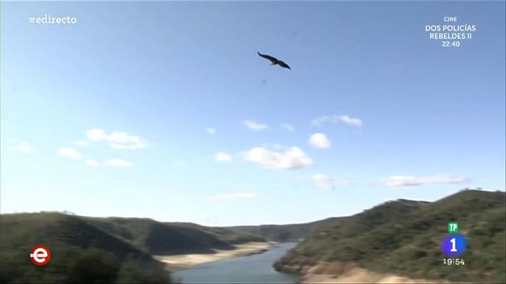 El Parque Nacional de Monfragüe, un paraíso para los buitres