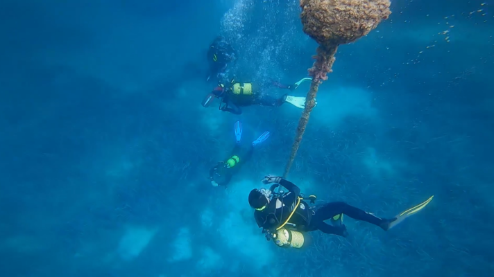 Saber vivir - Buceo en la reserva de Tabarca, Alicante