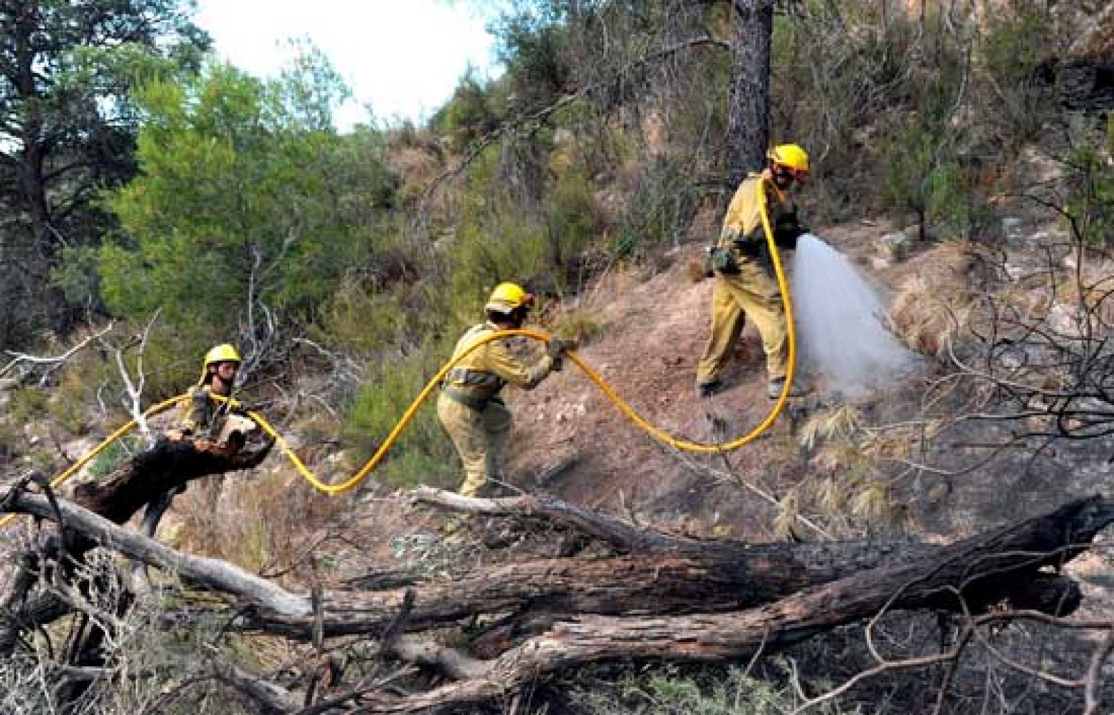 Todavía no está controlado pero sí estabilizado el incendio en el Parque Natural del Estrecho, en Tarifa. El que sí está controlado es el de Mequinenza, en Zaragoza.
