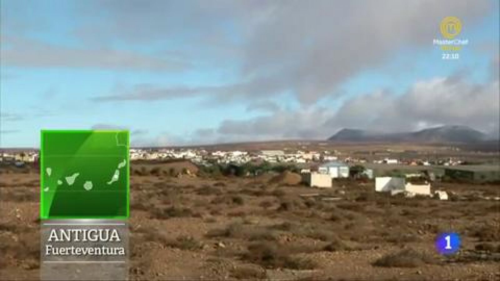 El aloe vera de Antigua (Fuerteventura)