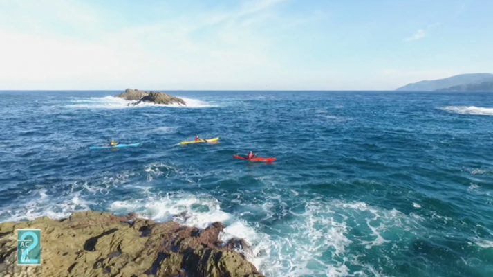 Activa2 - Activa2 - 11/01/20