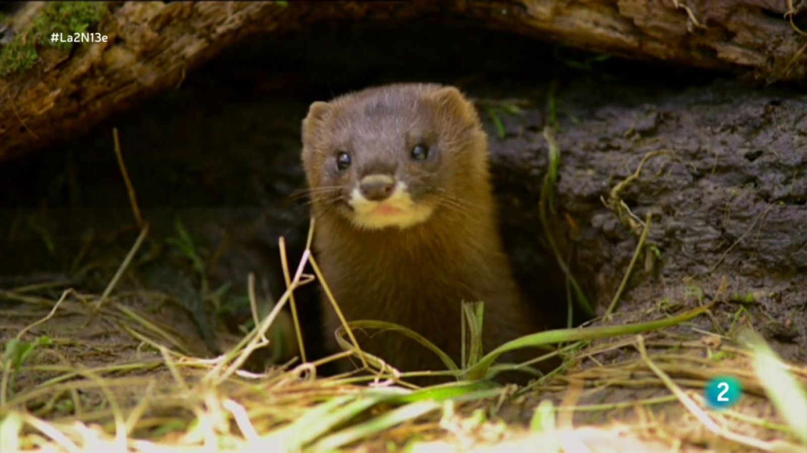 La 2 Noticias - 13/01/20 - ver ahora