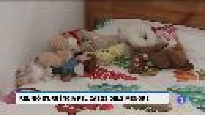 Informatiu Balear - Informatiu Balear - 14/01/20