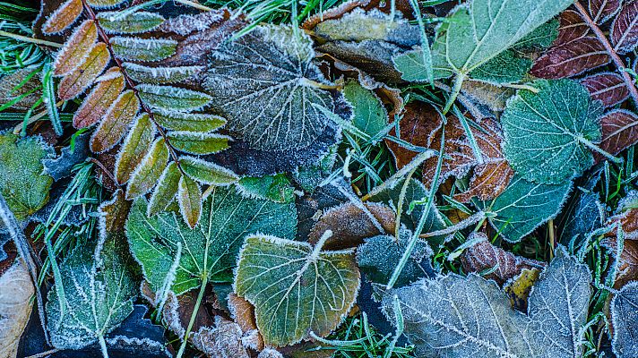 El tiempo - Heladas localmente moderadas en el centro y este de la Península