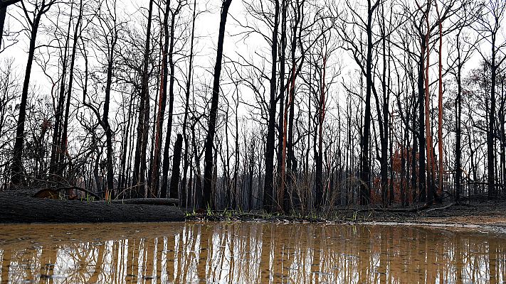Telediario 1 - La lluvia alivia los fuegos en Australia, aunque ahora preocupan las inundaciones
