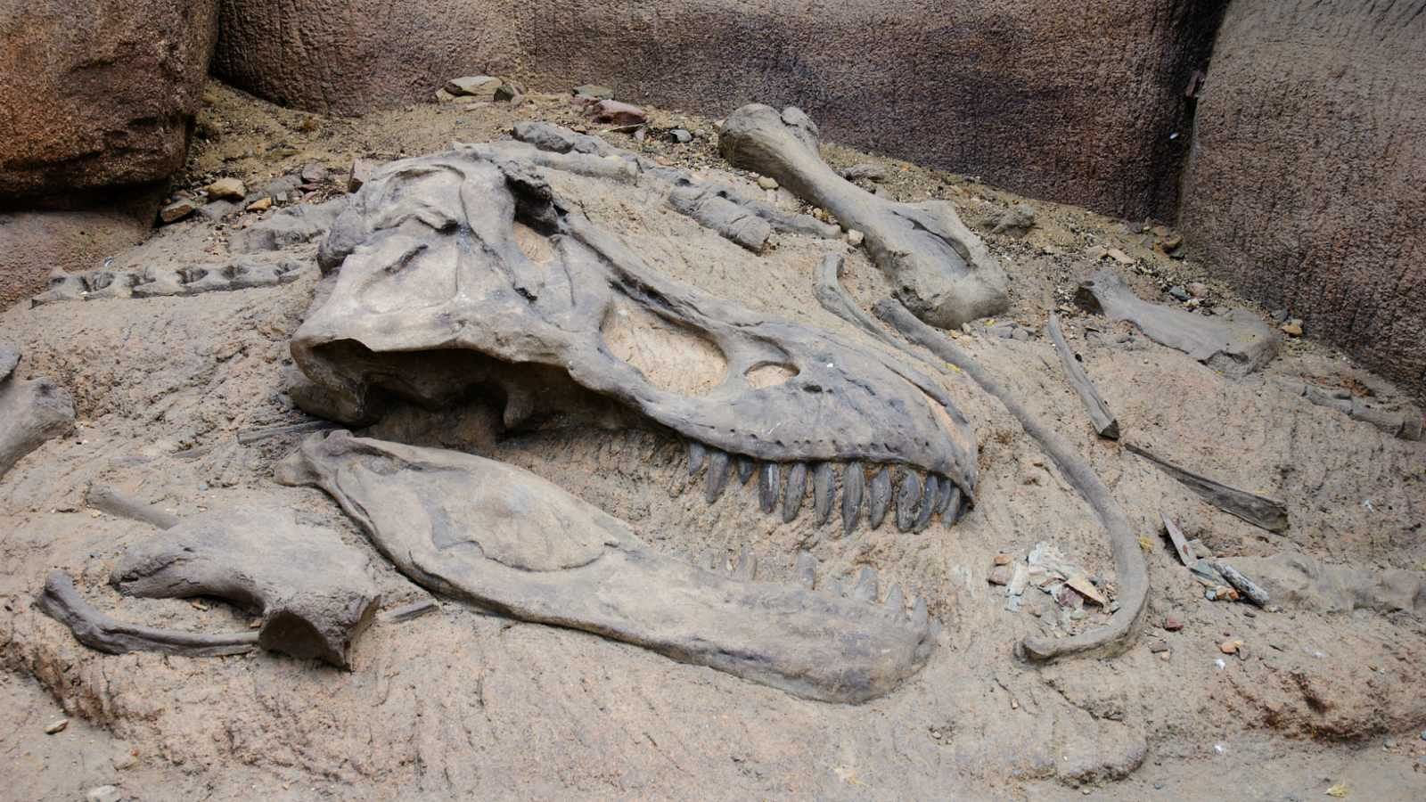 Un estudio demuestra que el impacto de un asteroide mató a los dinosaurios y no la acción de los volcanes Un estudio demuestra que el impacto de un asteroide mató a los dinosaurios y no la acción de los volcanes