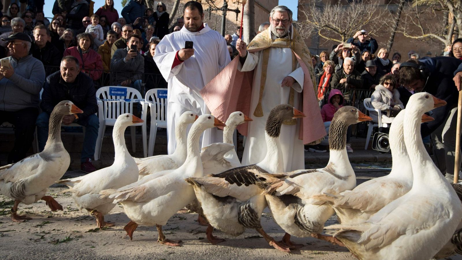 España Directo - 17/01/20 - ver ahora