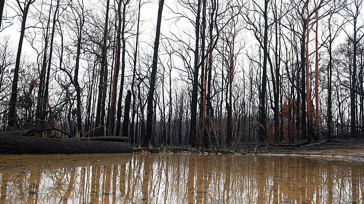 Telediario 1 - La lluvia, gran aliada contra los incendios en Australia