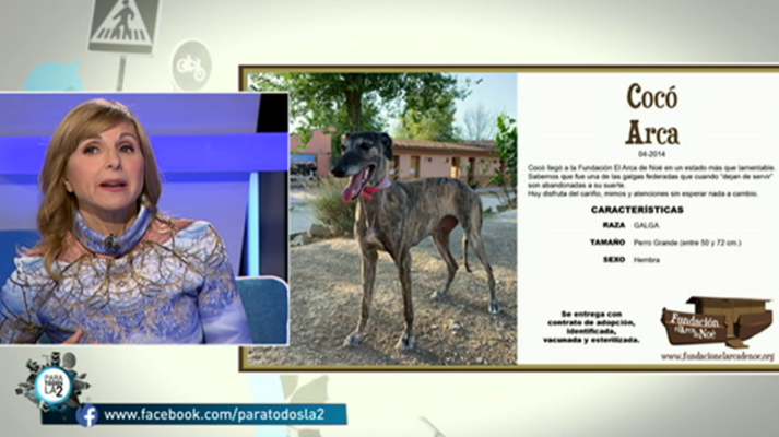 Para todos La 2 - Para todos La 2 - 18/01/20