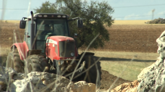 Agrosfera - 18/01/20              