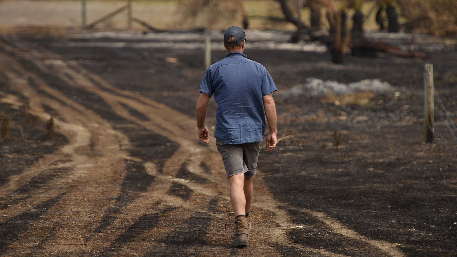 Los incendios en Australia remiten tras las lluvias pero quedan setenta focos activos - RTVE.es