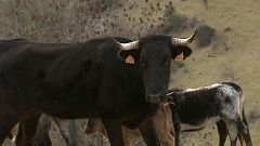 Tendido cero - 18/01/20            