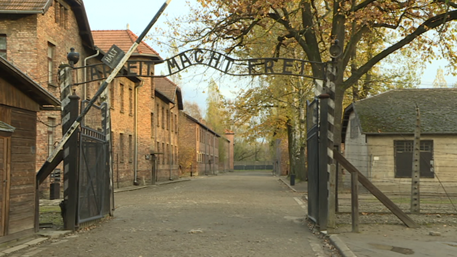 Shalom - Reflexiones 75 años después de Auschwitz - RTVE.es