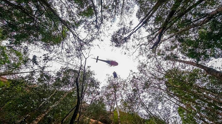 Australia eleva a 29 los fallecidos en los incendios que asolan al país