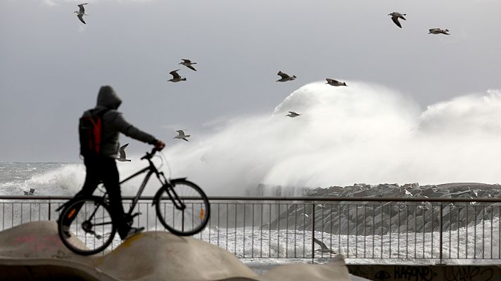 La tarde en 24h - La tarde en 24 horas - 20/01/20 (1)