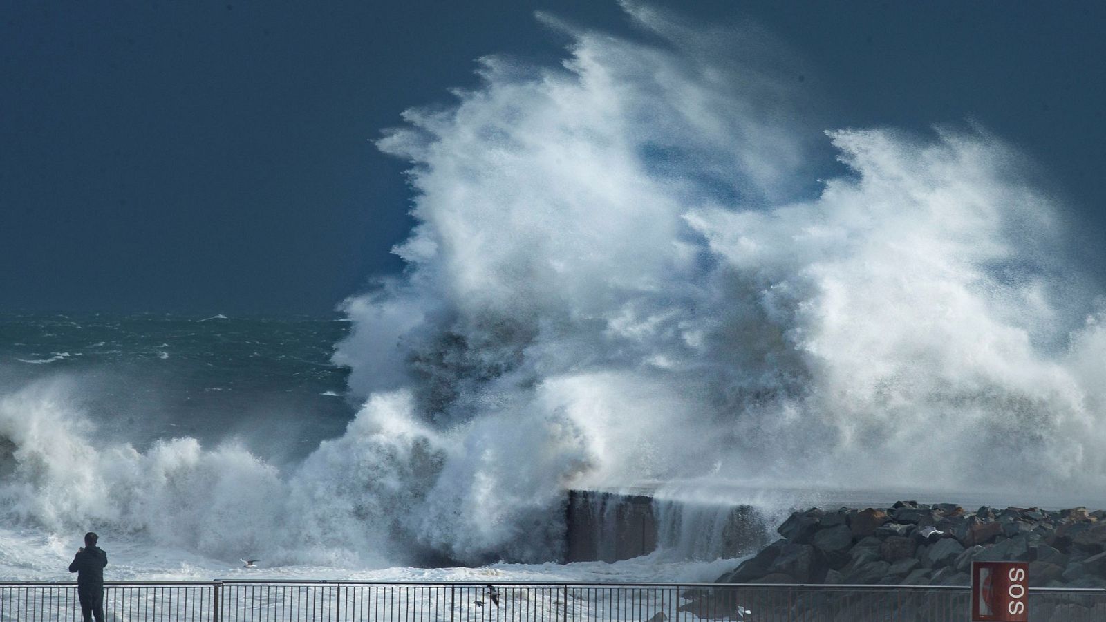 Telediario 1 en cuatro minutos - 21/01/20 - Ver ahora