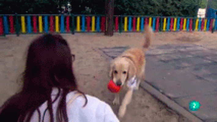 Terapia con animales en colegios