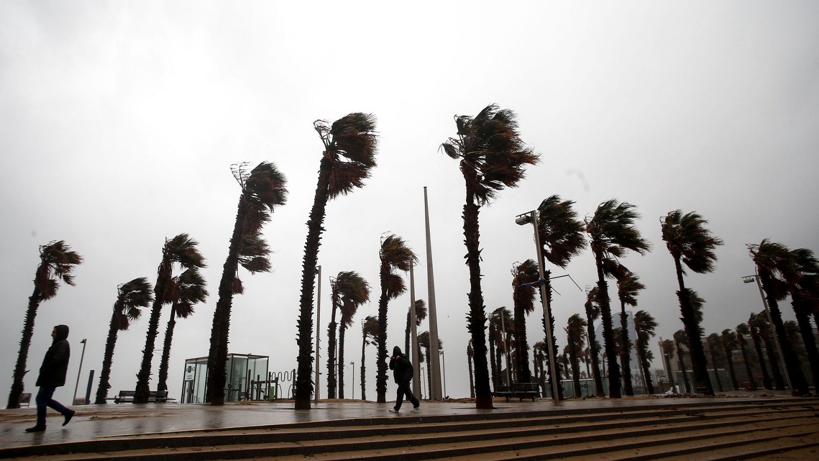 Telediario 1 en cuatro minutos - 22/01/20 - Ver ahora