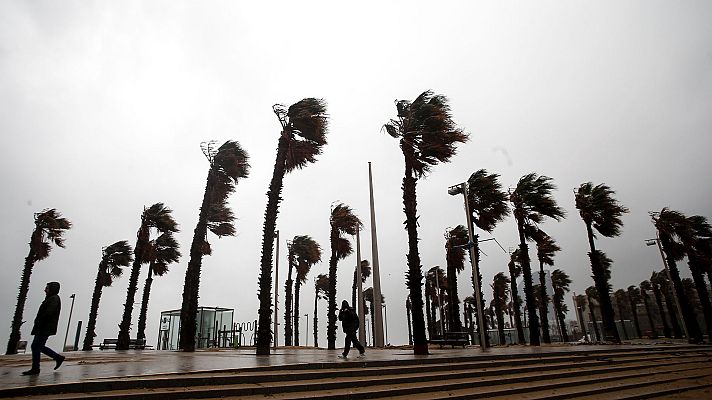 Telediario 1 - Telediario 1 en 4' - 22/01/20