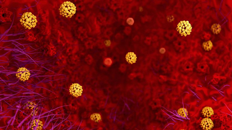 El virus chino de Wuhan pertenece a la familia de los coronavirus. Como tal, muta muy rápidamente. Se propaga, por el aire a distancias cortas, por la comida o por contacto directo con una persona infectada, la forma más difícil de contagiarse según 